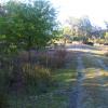 2010 Turkey Season