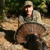 fla longbeard