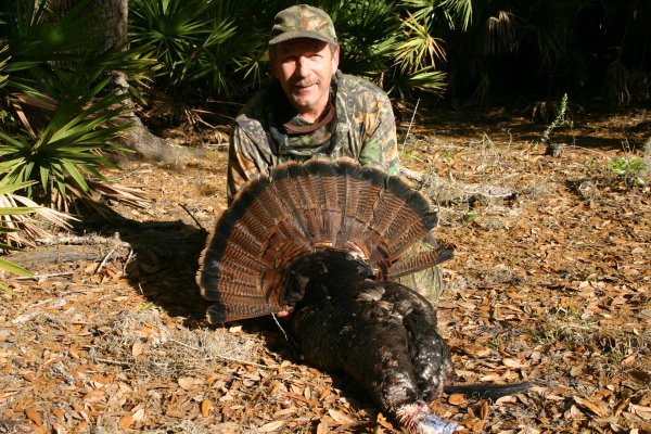 fla longbeard