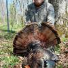 fulcher ky bird