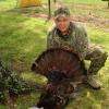 platt bird arkansas