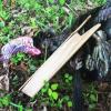 2012  Turkey Season