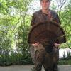Chris Pratt mountain gobbler 