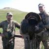 Darrin and  Chris Blodgett bird