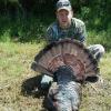 Steve Hardin