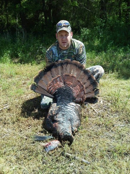 Steve Hardin