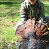 Steve Hardins mountain gobbler 