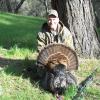 Joe Slaton Ca bird