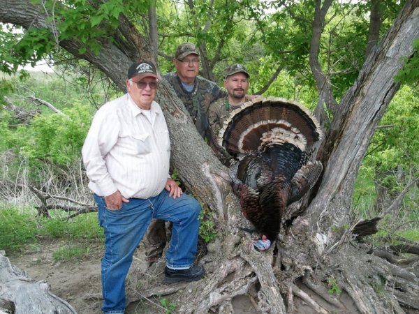 Rod Bauer,Darrin and John