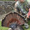 Steve Hardin