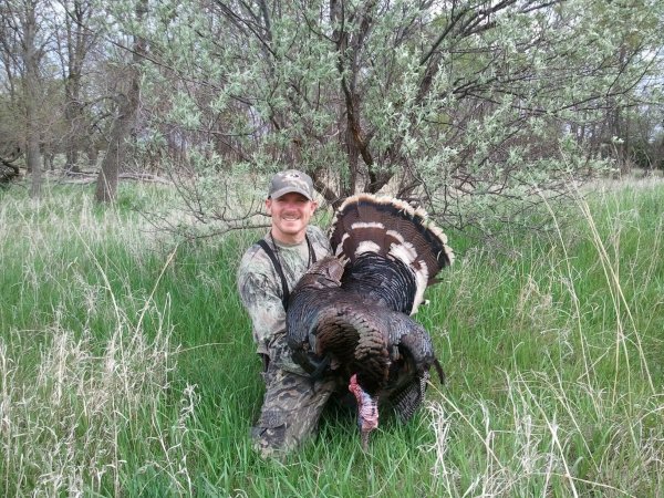 Todds merriam