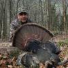 Alabama gobbler 