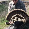 Dan Wittenberg with 4 bearded monarch 