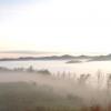 Eastern Kentucky morning 