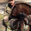 Todd Warker 