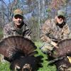 2017 Turkey Season