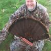 Steve Holl