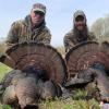 Scott Branca and John Branca  