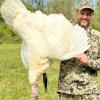 Shane Smith 